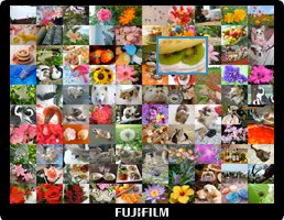 Fujifilm X10 : Vista Digital en Pantalla